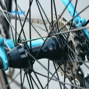 Bici su supporto durante lavaggio e pulizia prima della manutenzione di primavera.