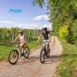 Due persone in bicicletta pedalano su una strada sterrata tra vigneti e alberi in un paesaggio verde e soleggiato.